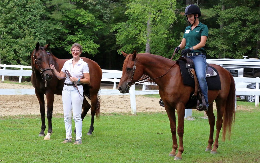 Announcing Our Summer Horse Show!