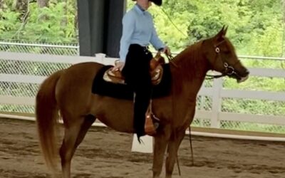 Amazing accomplishments in a tough year