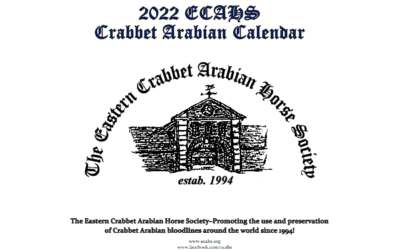 ECAHS Calendars Available